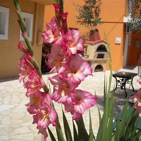 Erietta Apart Otel